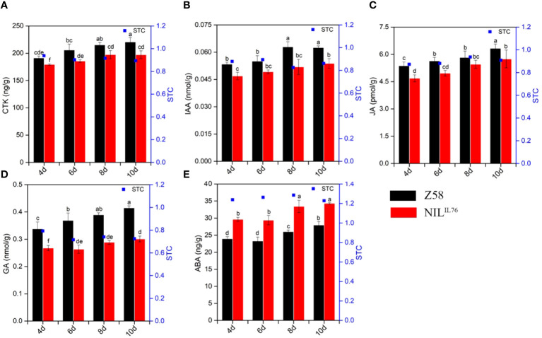 Figure 6
