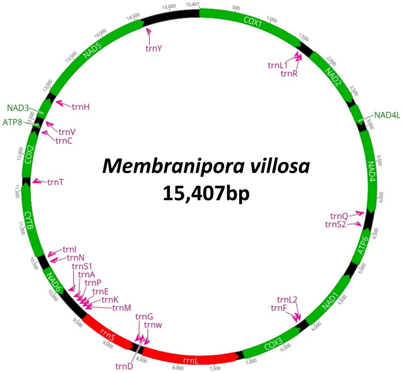 Figure 2
