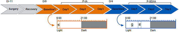 Figure 7