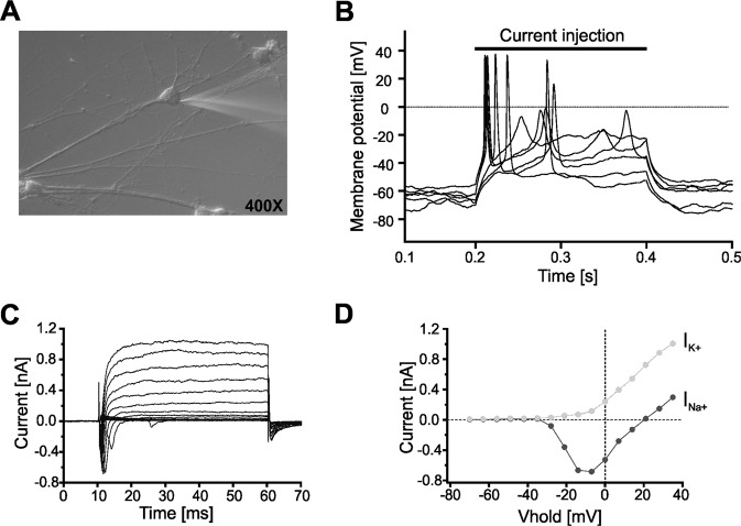 Figure 4