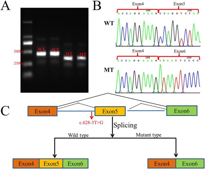 Figure 5