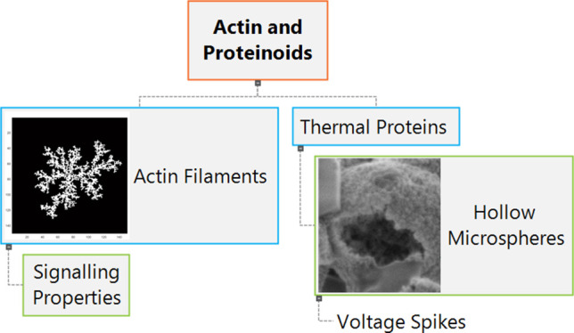 Figure 17