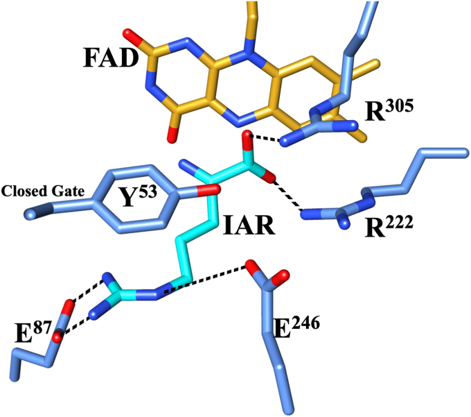Figure 10