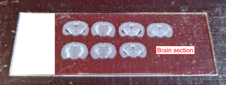 Figure 9