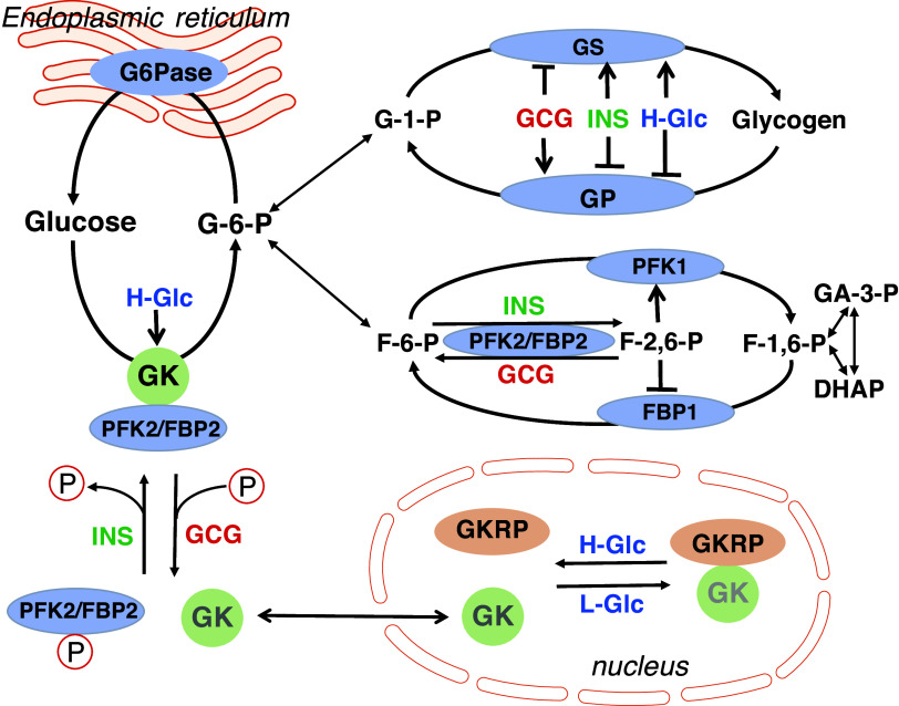Figure 7