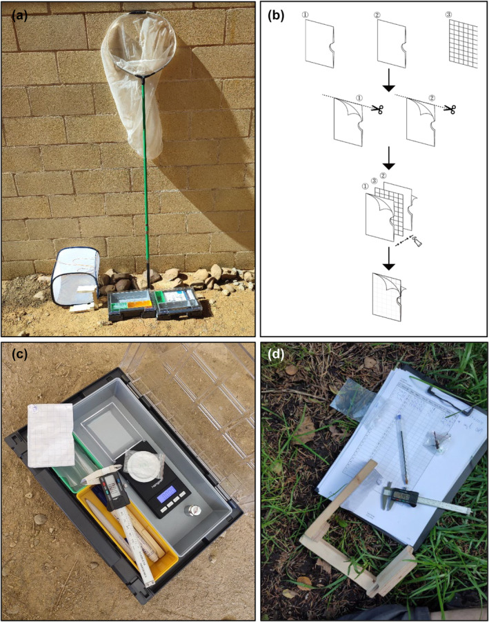 FIGURE 1