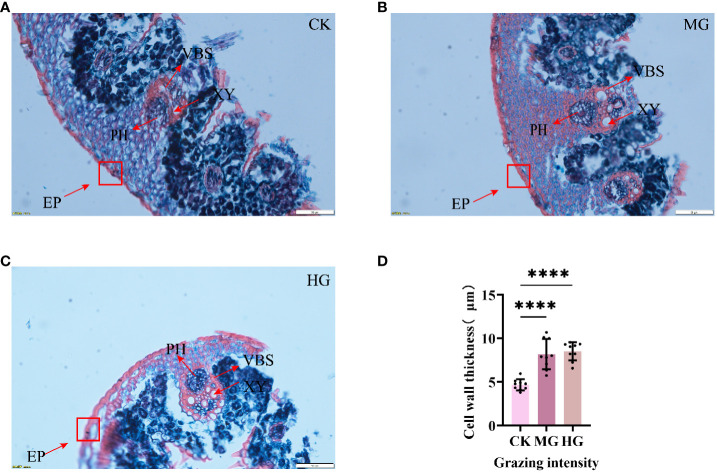 Figure 1