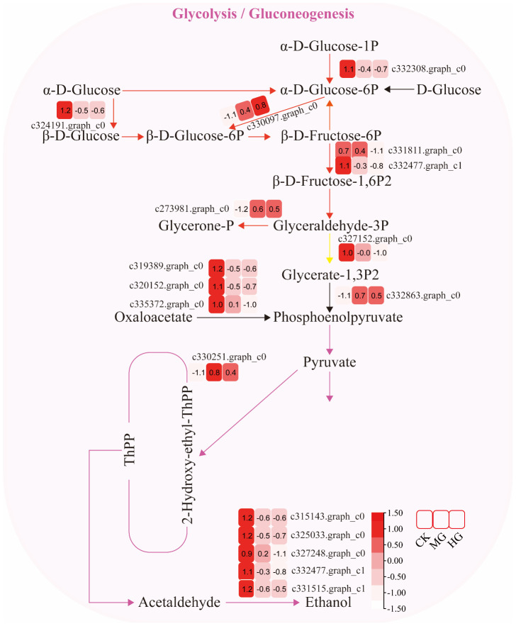 Figure 3