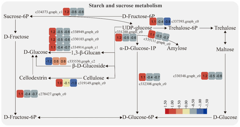 Figure 4