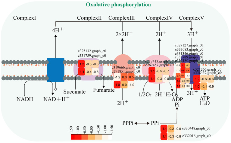 Figure 5