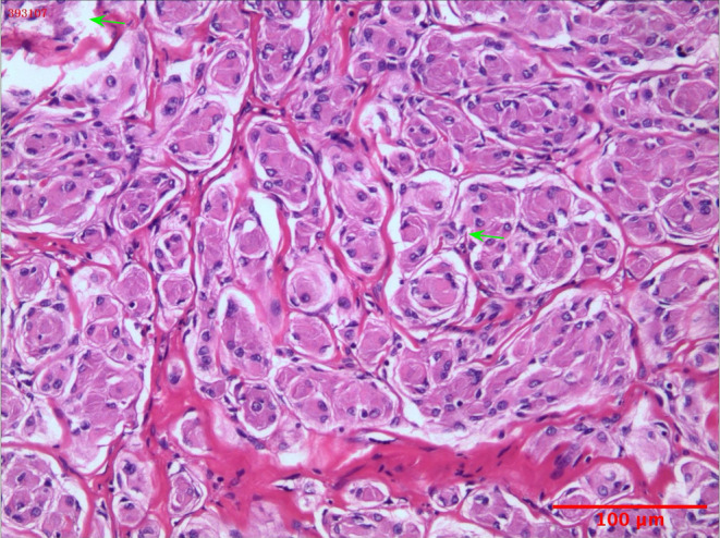 FIGURE 3