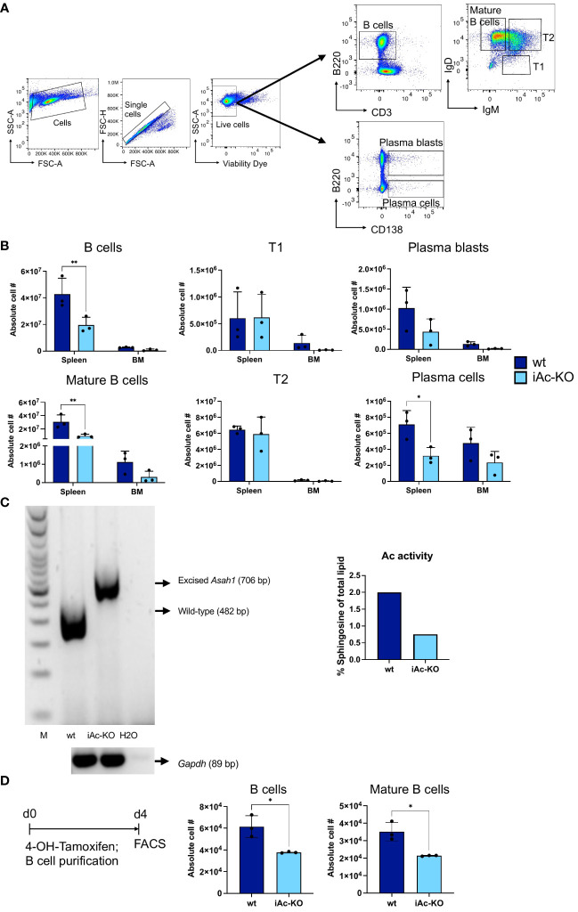 Figure 7