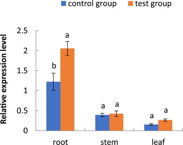 Figure 7