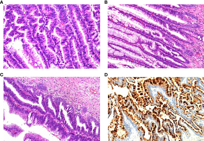 Figure 3