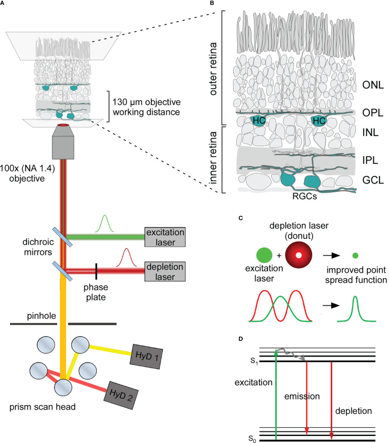 Figure 1