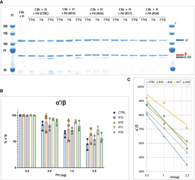 Figure 2