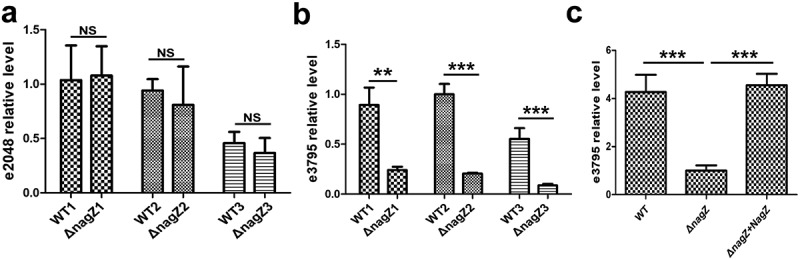 Figure 11