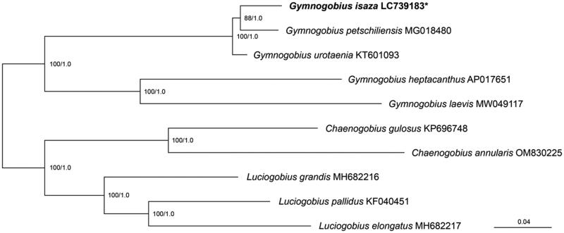 Figure 2
