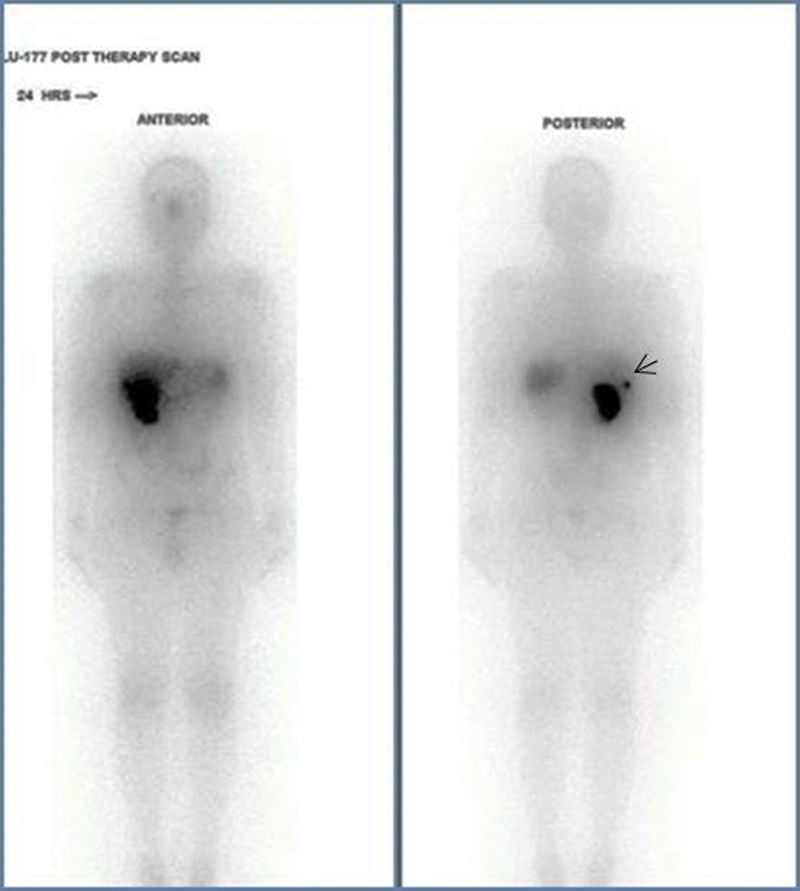 Fig. 5