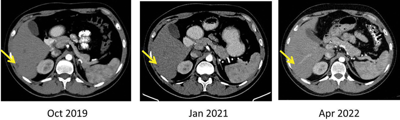 Fig. 8