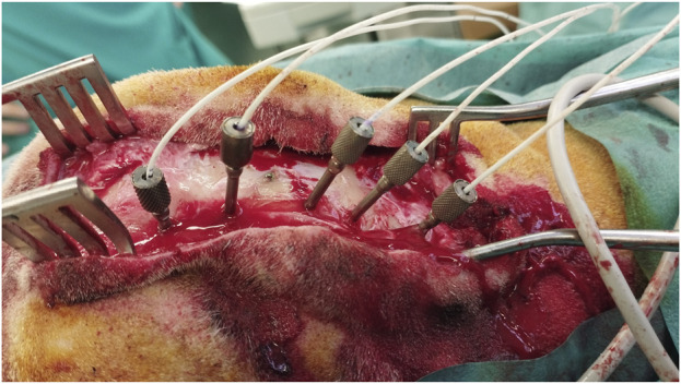 FIGURE 4