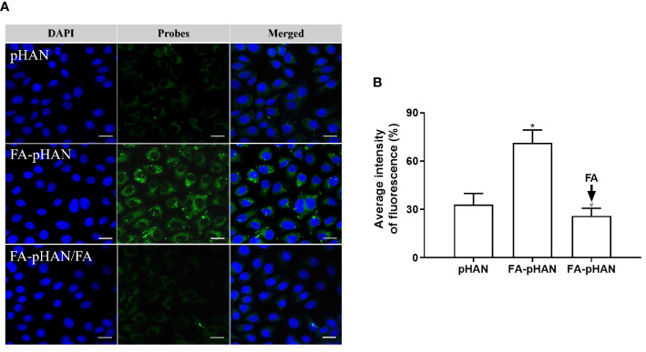 Figure 6