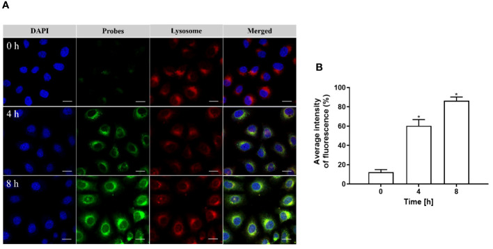 Figure 7