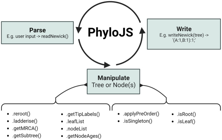 FIGURE 1