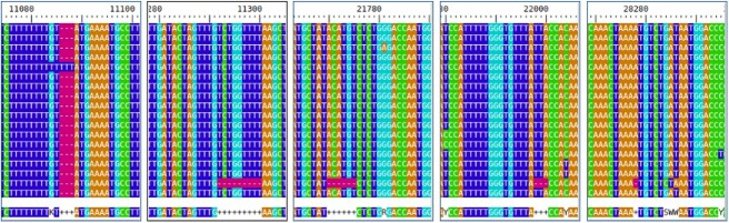 Figure 6