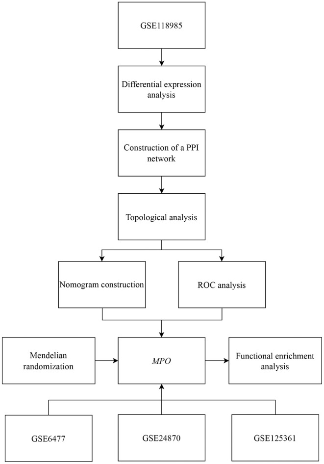 FIGURE 1