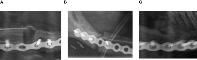 Figure 2