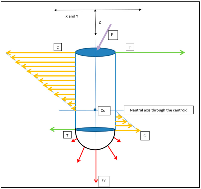 Figure 17