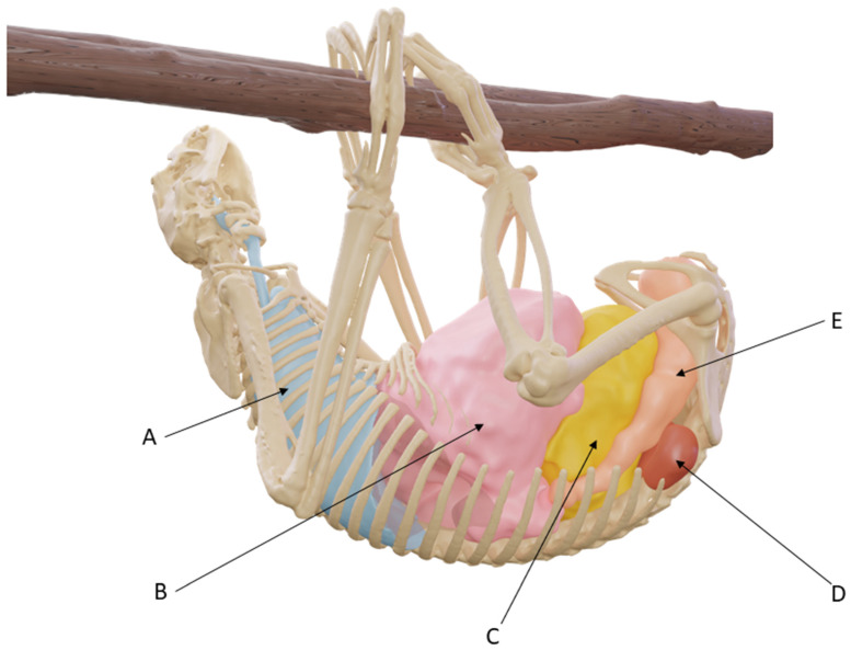 Figure 7