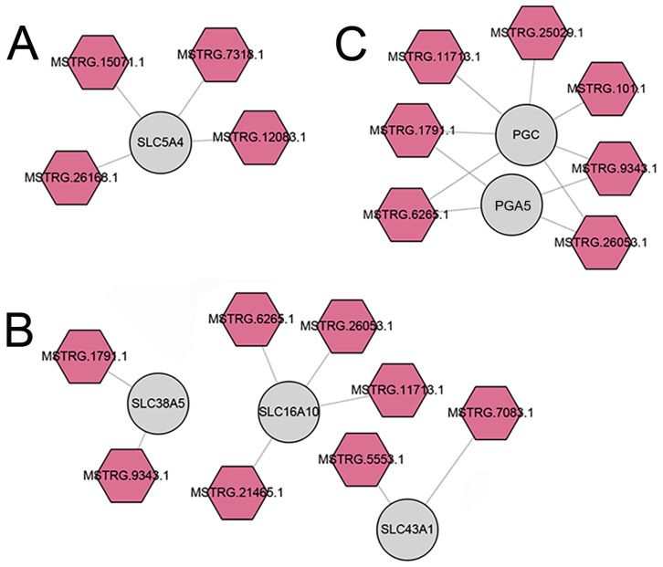 Figure 5