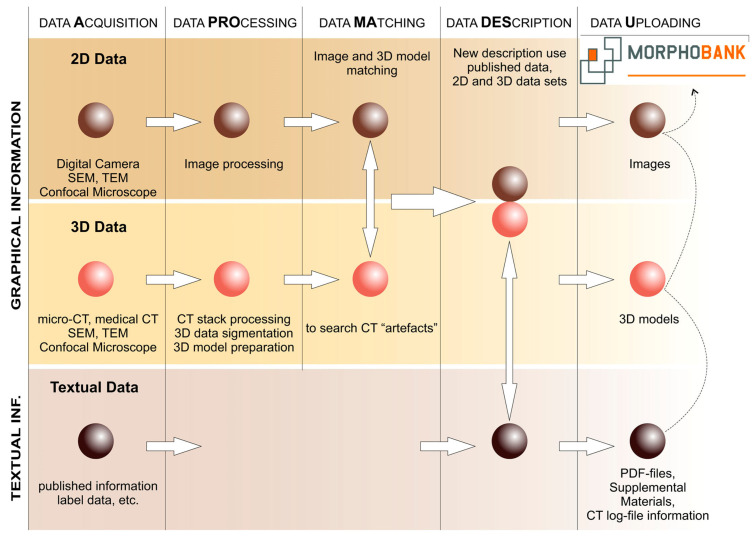 Figure 12