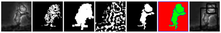 Figure 7