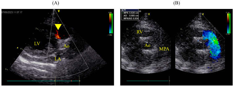 Figure 7