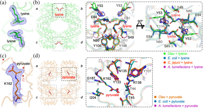 Figure 25