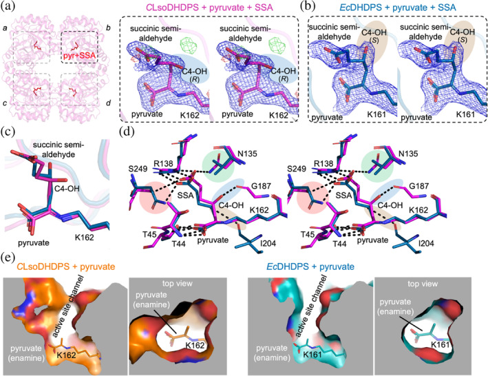 Figure 26