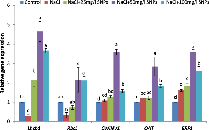 Figure 11