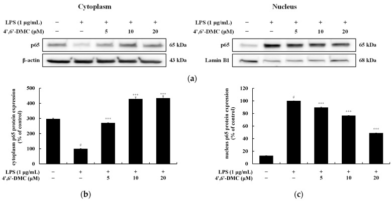 Figure 17