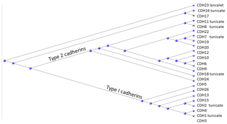 Figure 8