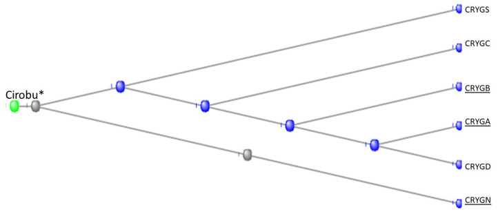 Figure 15