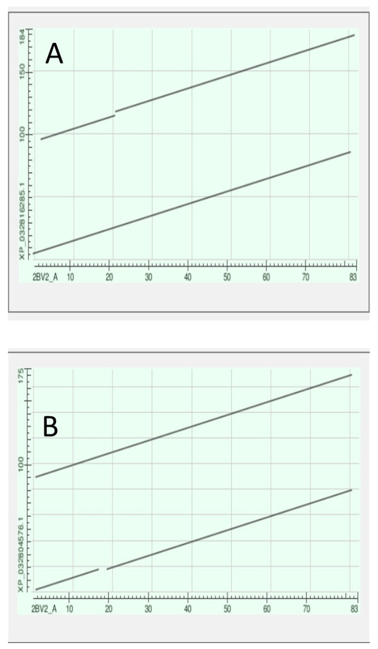 Figure 16