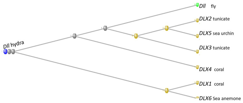Figure 18