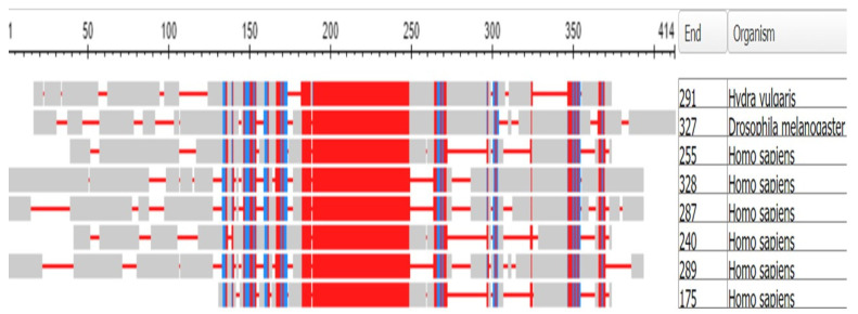 Figure 19