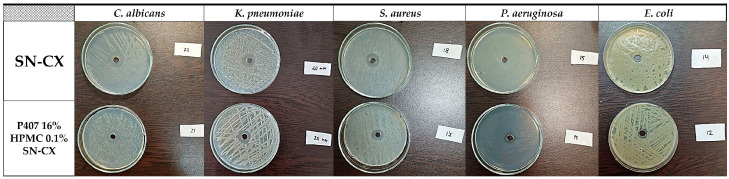 Figure 9