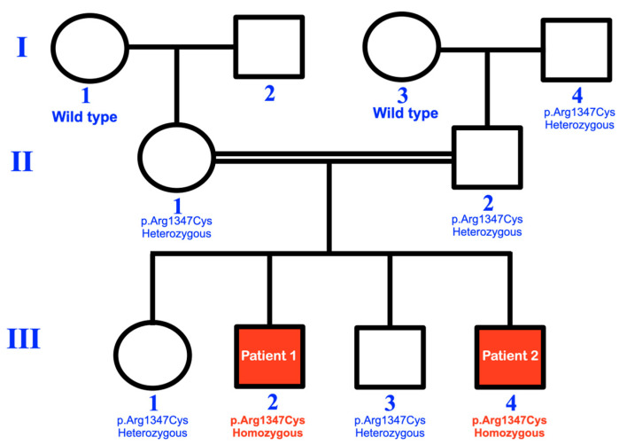 Figure 14