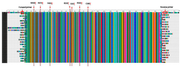 Figure 5