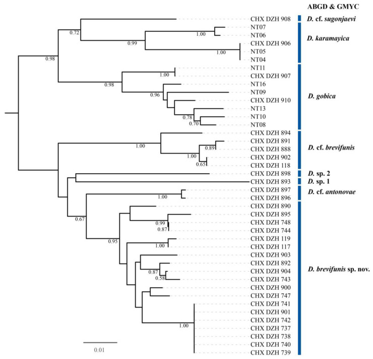 Figure 1
